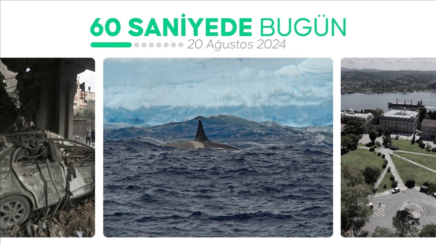 60 saniyede bugün (20 Ağustos 2024)