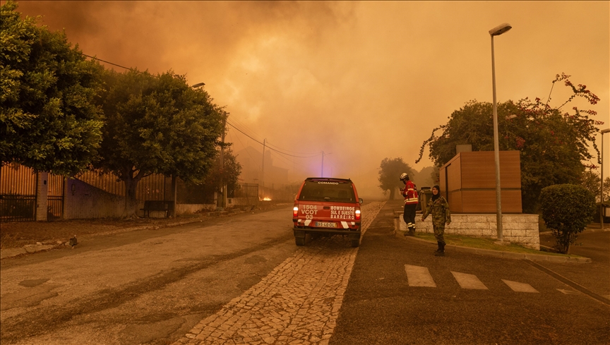 Devastating Wildfires Ravage 6% of Madeira Island in Just One Week