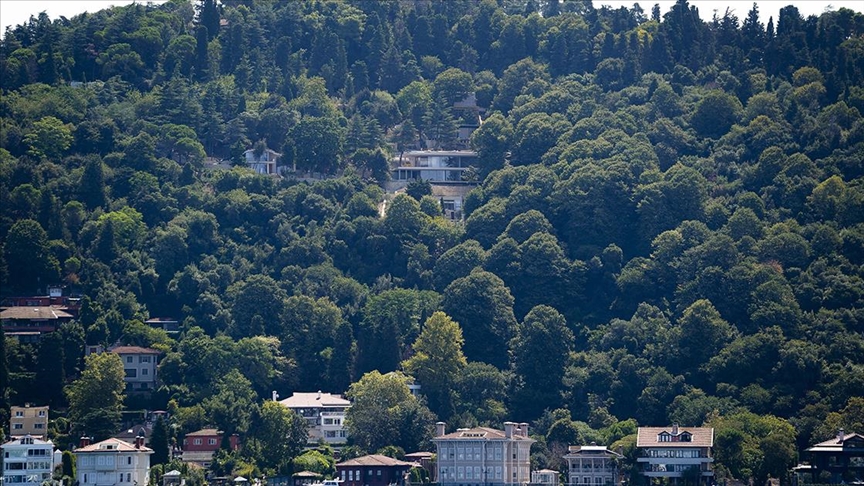 Üsküdar Vaniköy'deki izinsiz inşaatta inceleme yapılıyor