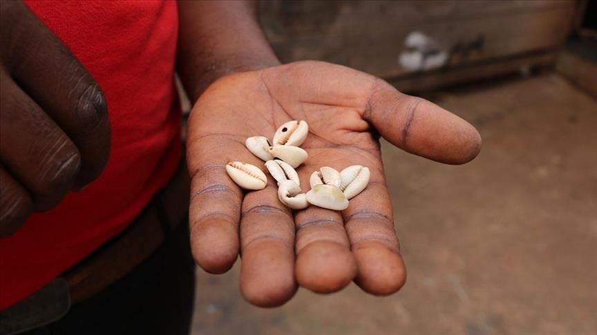 Ракушки-деньги в Африке: от торговли к символизму