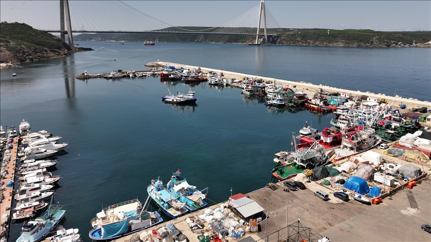 İstanbul'da balıkçılar yeni sezonda palamut bolluğu bekliyor