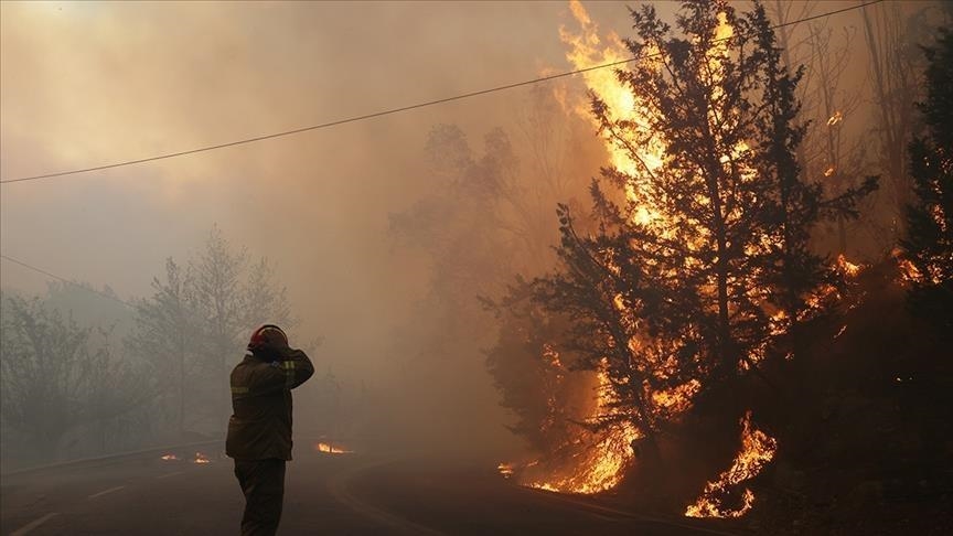 Broj požara u Grčkoj ove godine povećan za 50 posto