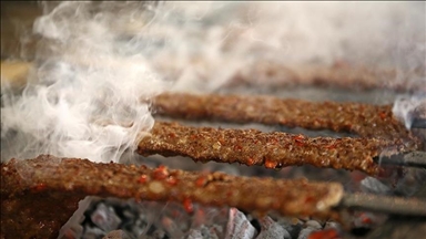 Gaziantep'te "dünyanın en uzun kebabı" için rekor denemesi yapılacak