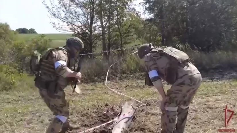 В РФ сообщили об обезвреживании кассетного боеприпаса вблизи Курской АЭС