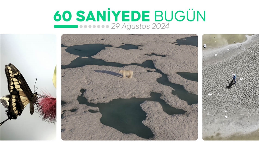 60 saniyede bugün (29 Ağustos 2024)