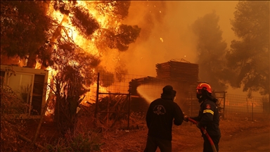 Climate change fanning wildfires in vulnerable Eastern Mediterranean region, warn Greek scientists