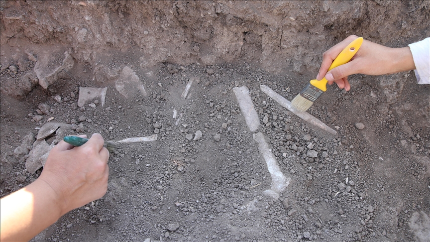 7,600-year-old skeletons of child, infant discovered in southern Türkiye