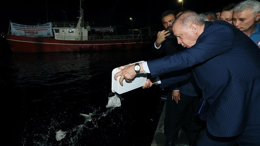 الرئيس أردوغان: نهدف لتأسيس صناعة سمكية في البحار الدولية