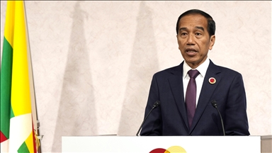 Developing countries suffer due to 'waning multilateralism spirit': Indonesian president