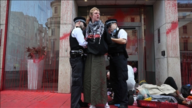 Activists blockade lobbying firm in London over ties with Israeli arms manufacturer 