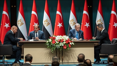 Türkiye, Egypt call for greater international recognition of Palestinian statehood