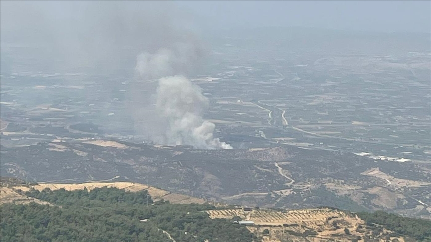 İzmir'in Menemen ilçesinde çıkan orman yangını kontrol altında