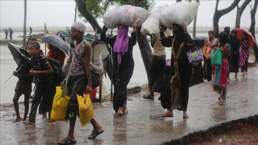 Rohingya Muslims risk losing homeland: Rights activist