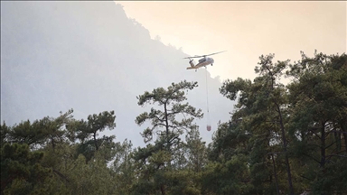 Muğla'da çıkan orman yangınına müdahale gece boyunca devam etti