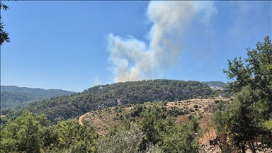 Antalya'nın Kaş ilçesinde çıkan orman yangını kontrol altına alındı