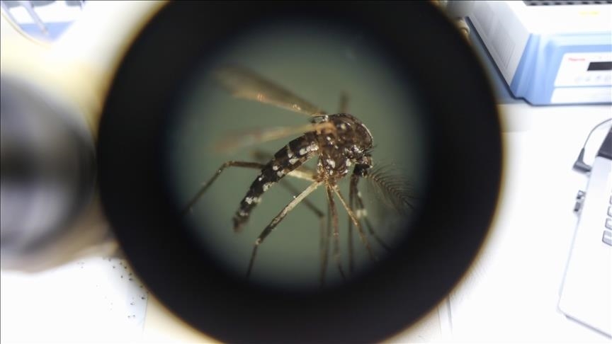 51 died, over 20,000 infected with Dengue virus in Philippines' Western Visayas region in 8 months