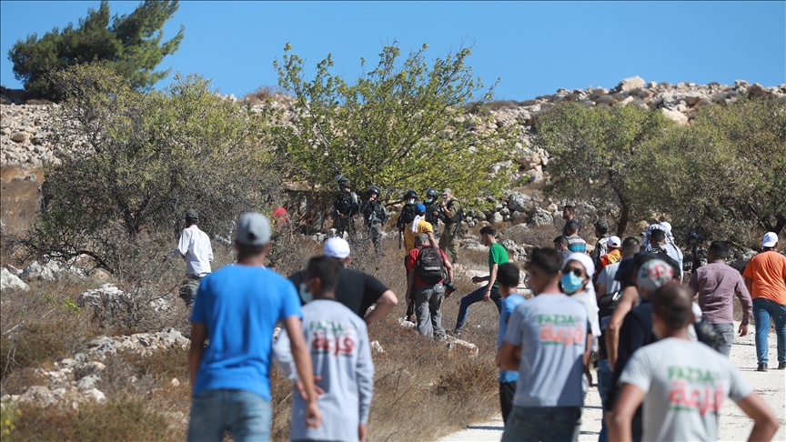 Colonos judíos prenden fuego a olivos y propiedades palestinas en la Cisjordania ocupada