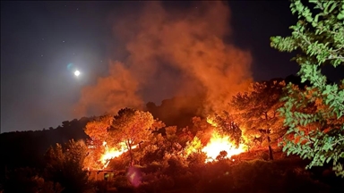 Hatay'da çıkan orman yangını söndürüldü