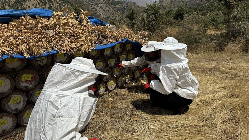 Siirtli "Bal" ailesi dededen toruna 3 kuşaktır arıcılık yapıyor