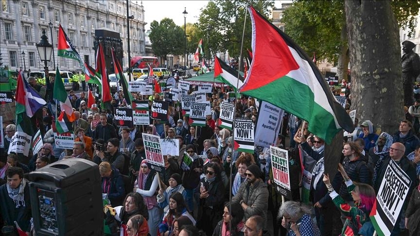 Pro-Palestine protester acquitted over 'coconut' placard in UK