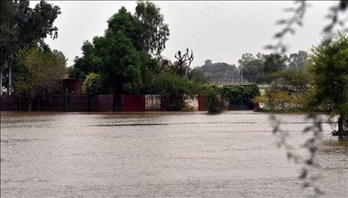 At least 37 people killed in flooding in northeastern Nigeria