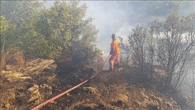 Antalya'da ormanlık alanda çıkan yangın kontrol altına alındı