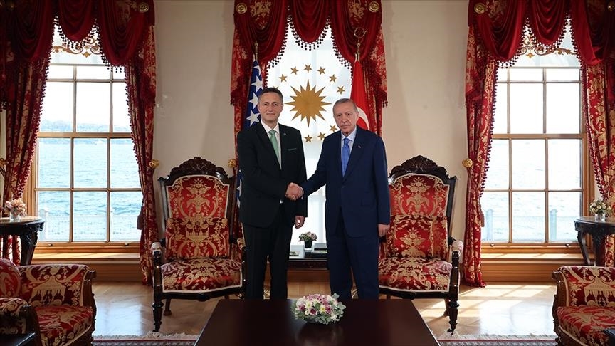 В Стамбуле прошла встреча президента Турции с председателем Президиума БиГ