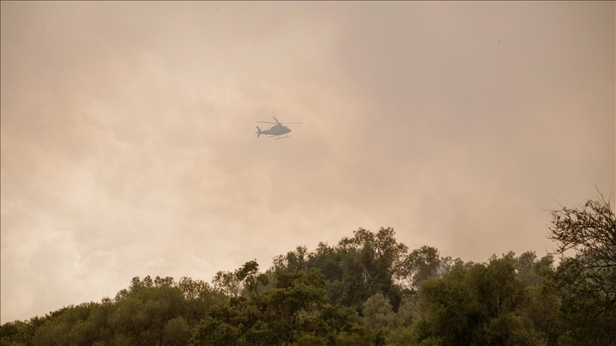 EU mobilizes 8 planes to help Portugal fight wildfires