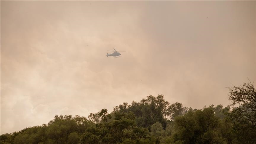 L'UE mobilise 8 avions pour aider le Portugal à lutter contre les incendies de forêt