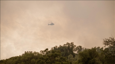 EU mobilizes 8 planes to help Portugal fight wildfires