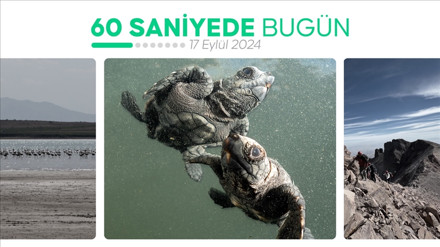 60 saniyede bugün (17 Eylül 2024)