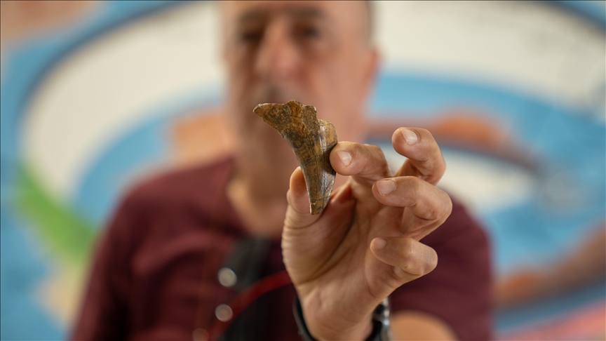 Türk profesör, dünyada 7 noktada tespit edilen "denizlerin dinozoru"nu anlattı