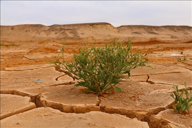 WMO'dan "iklim değişikliğiyle mücadelede sadece bilim ve teknoloji yeterli değil" uyarısı