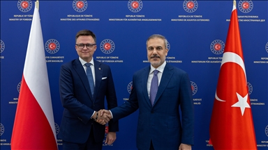 Turkish foreign minister meets Polish parliament speaker in Ankara