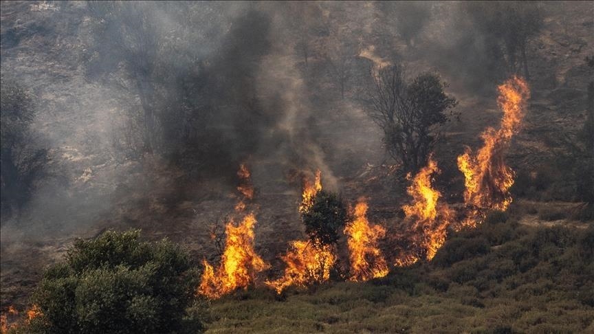 Presse israélienne : Des incendies éclatent au nord d'Israël suite au tir d'environ 100 roquettes depuis le Liban