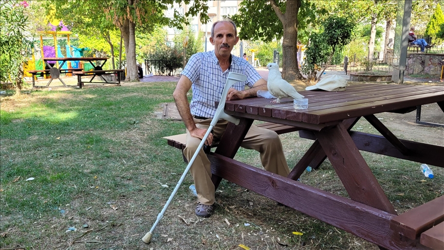 Ayağı sakat güvercin "Paşa", tek bacağını kaybeden işçiye yoldaş oldu