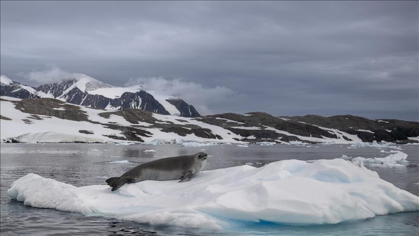 AG de l'ONU : Les petits États insulaires plaident pour leur survie face aux changements climatiques