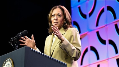 It is US 'strategic interest' to support Ukraine: Harris