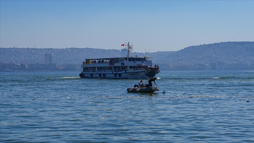 İzmir Körfezi'nde balık ölümleri sürüyor