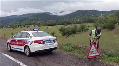 İçişleri Bakanı Yerlikaya, yılın ilk 8 ayındaki motosiklet kazalarıyla ilgili verileri açıkladı