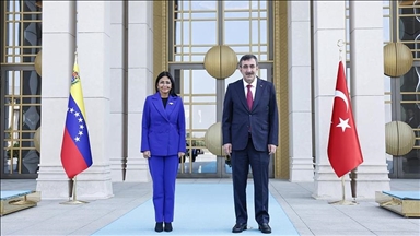 Türkiye's vice president, Venezuelan counterpart discuss bilateral ties