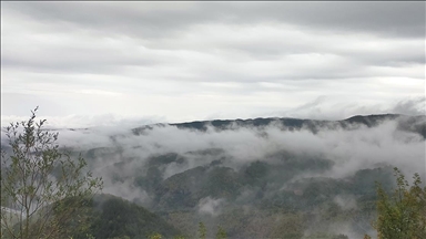 Bolu Dağı'nda sağanak ve sis etkili oldu