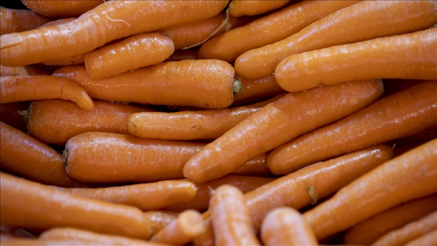 TZOB Genel Başkanı Bayraktar: Eylülde üretici ve market arasındaki fiyat farkı en fazla yüzde 249 ile havuçta görüldü