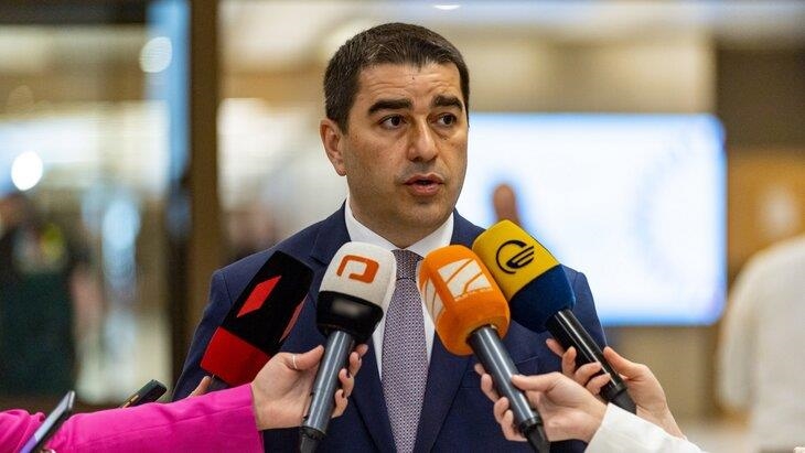 Председатель парламента Грузии подписал пакет законопроектов «О семейных ценностях»