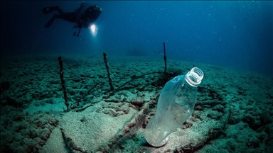 Bakteret e ujërave të zeza mund të jenë zgjidhje për problemin e plastikës në natyrë