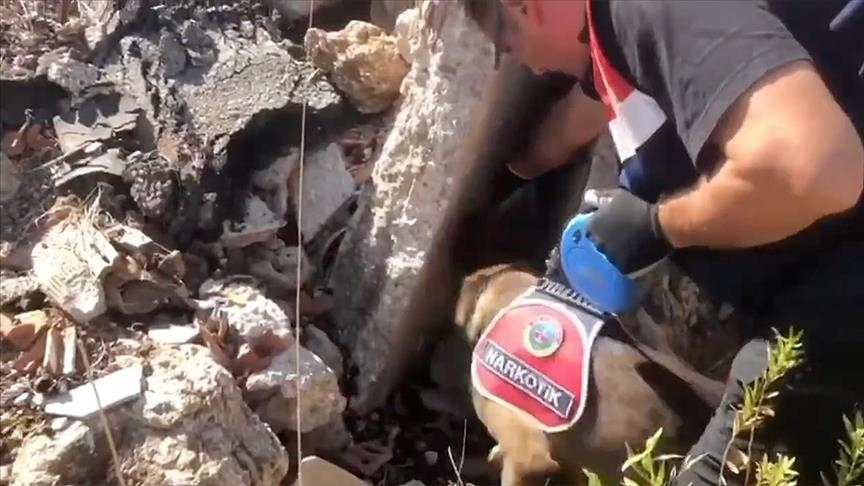 Nearly 2 tons of drugs seized during anti-drug drive in Türkiye Nearly 2 tons of drugs seized during anti-drug drive in Türkiye