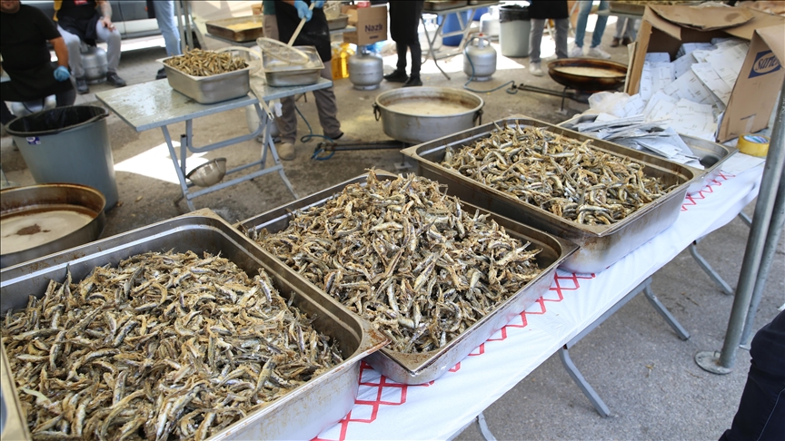 Denizli'de Hamsi Festivali'nde yaklaşık 5 ton balık pişirildi