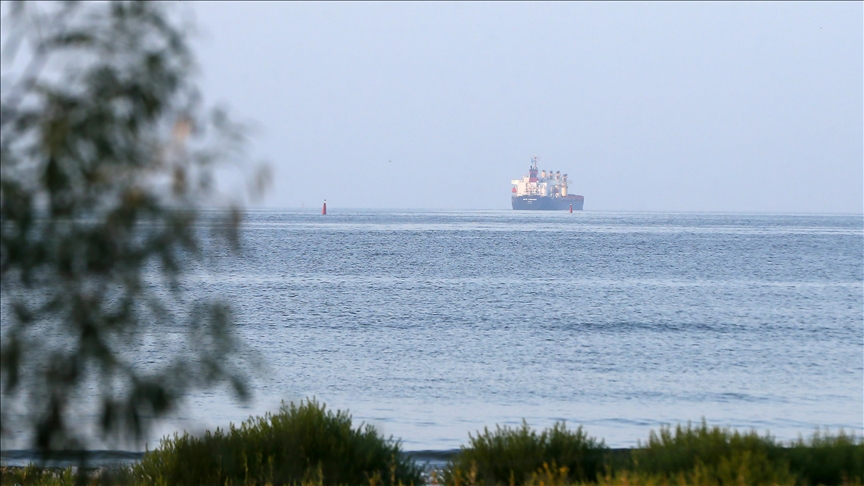 Ukraine says Russian airstrike hits grain ship in Pivdennyi Port
