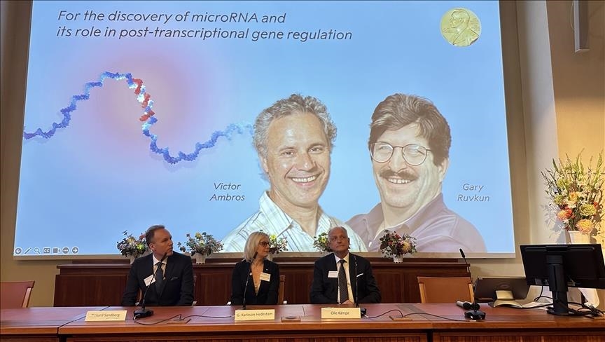 Le Nobel de médecine 2024 décerné aux Américains Ambros et Ruvkun