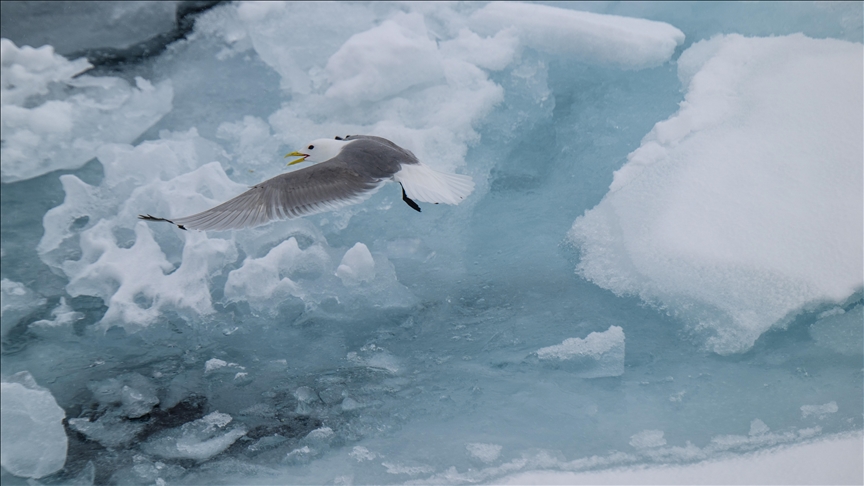OPINION - Russia and China’s Arctic ambitions: A marriage of convenience?